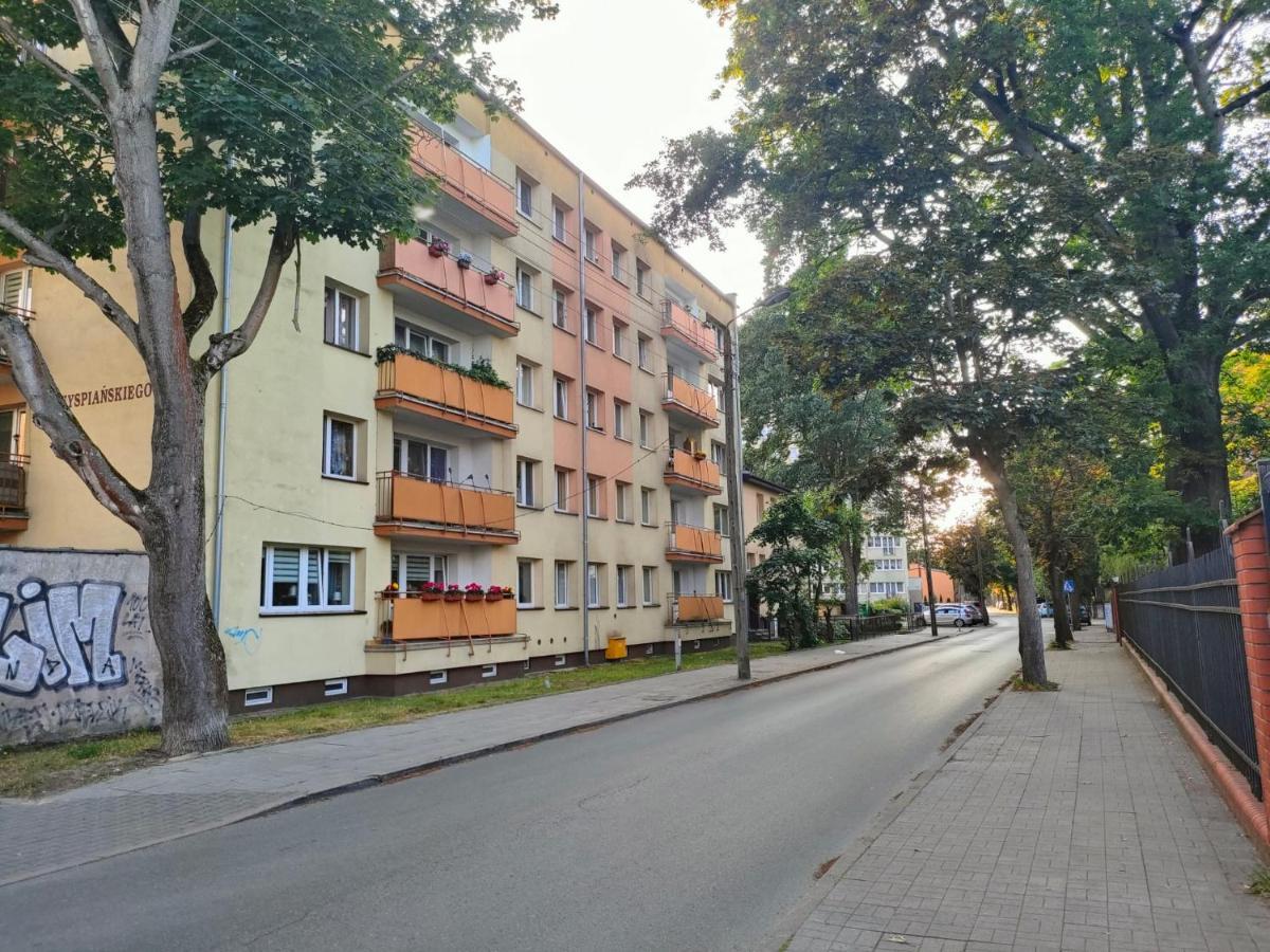 Apartament 70M2 Przy Parku Zdrojowym, Plaza, Centrum. 斯维诺乌伊希切 外观 照片
